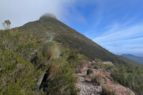 Mount Hassell