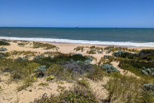 Buffalo Beach