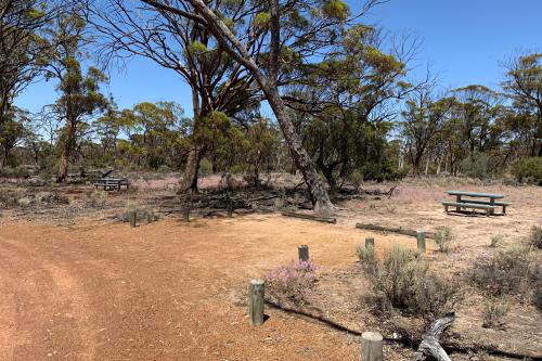 Red gravel track leading to picnic tables at Korrelocking Picnic Area