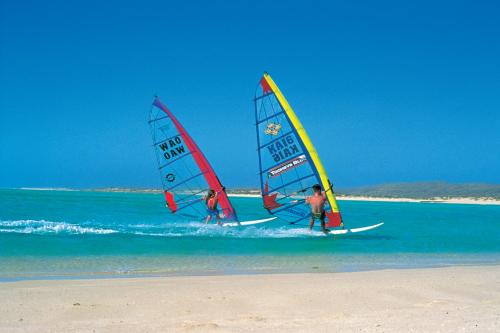 Wind surfing at Sandy Bay.