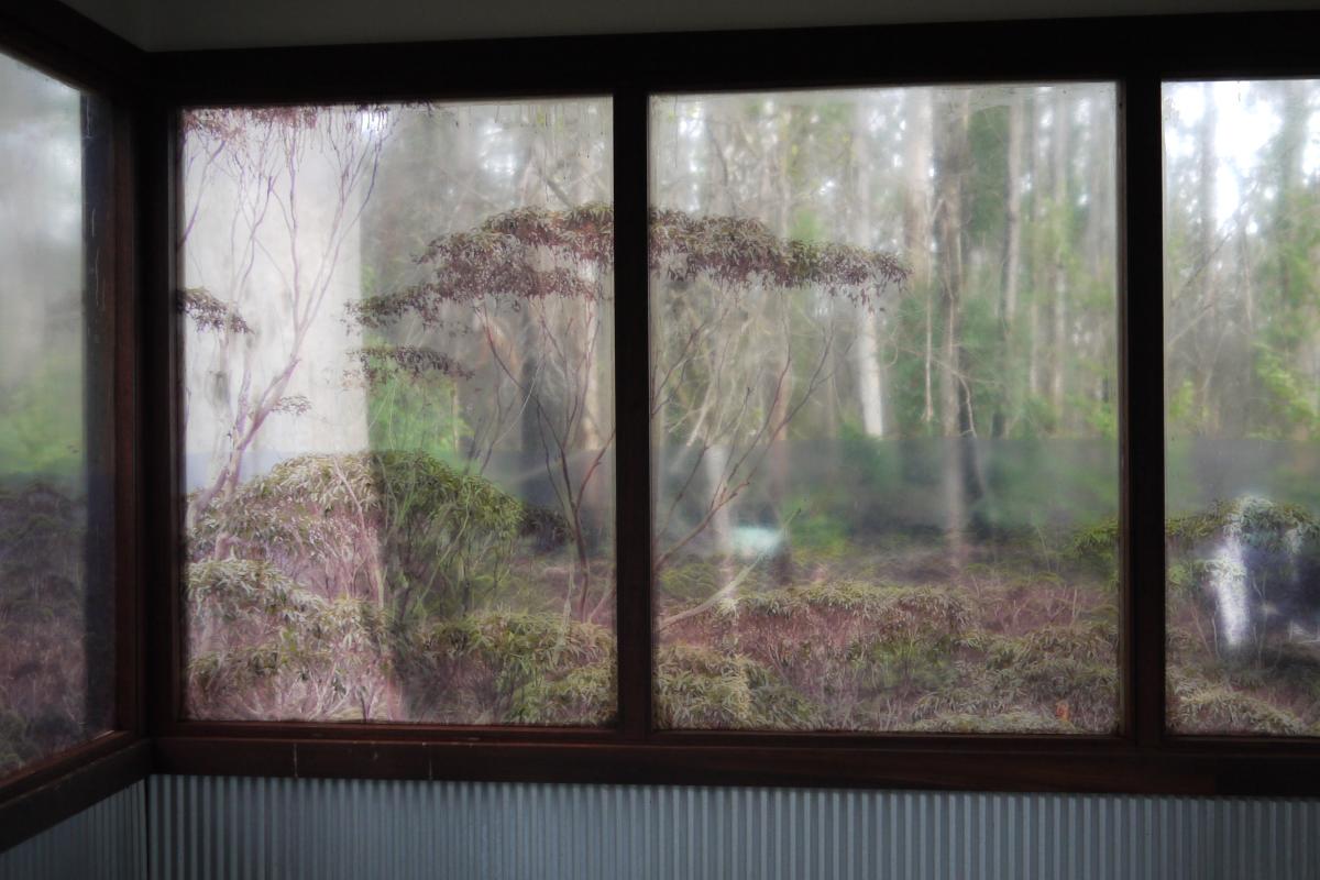 inside the replica boorara tree observation deck