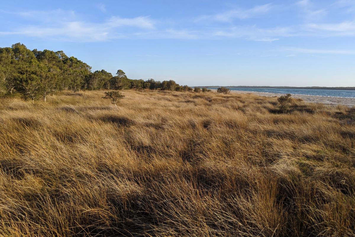 Lake Clifton shores Lake Clifton shores